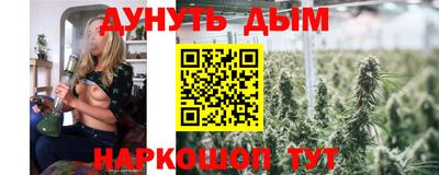 прущие грибы Усть-Илимск