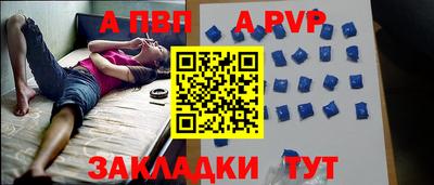 прущие грибы Усть-Илимск