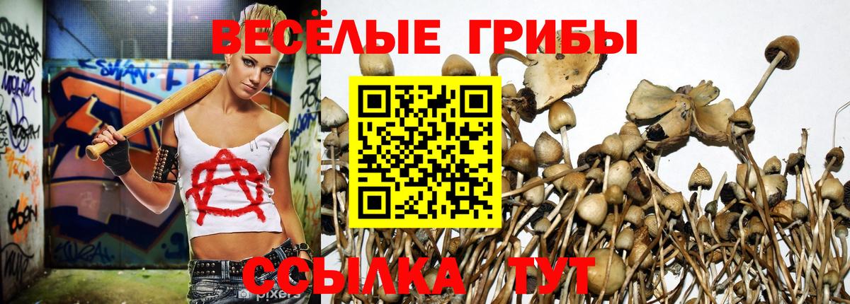 купить  цена  Галлюциногенные грибы MAGIC MUSHROOMS  Вход с VPN  Псилоцибиновые грибы GOLDEN TEACHER  Тобольск 